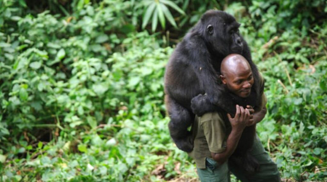 Photo Credit - Kingdom