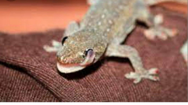 Photo Credit - From Google