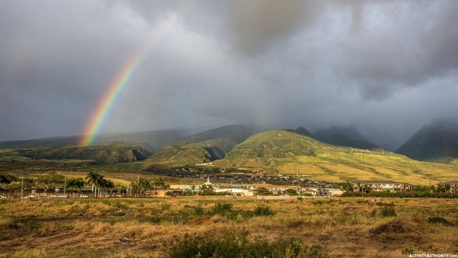 Photo Credit – From Google
