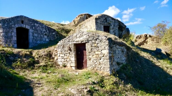 Photo Credit- From Google