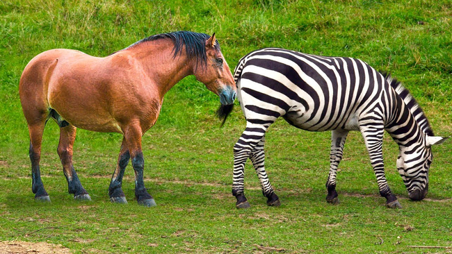 Photo Credit – From Google