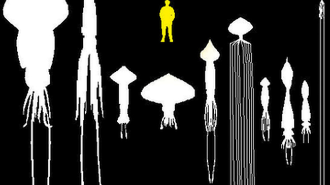 Photo Credit – From Google