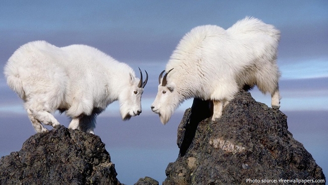 Photo Credit – From Google