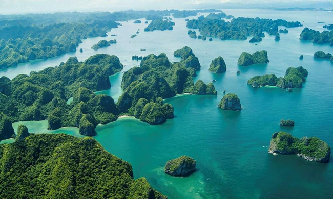 ឆកសមុទ្រ Ha Long