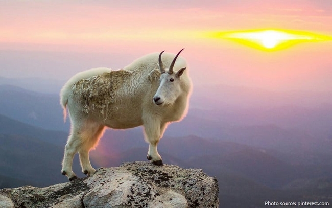 Photo Credit – From Google