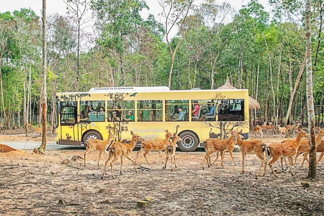 រូបតំណាង