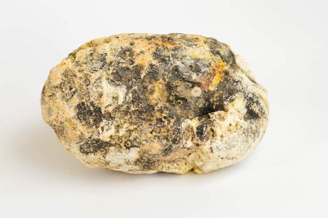 Ambergris (ငါးကြီးအန်ဖတ်)