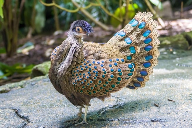 Photo Credit – From Google