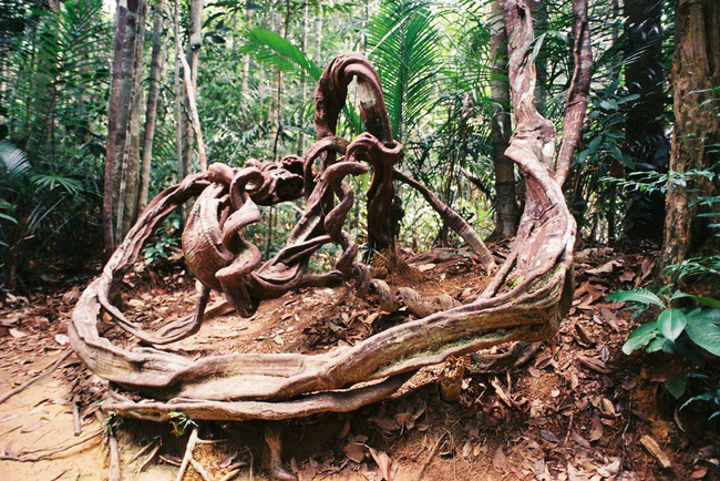 Photo Credit – From Google