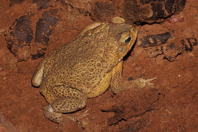 https://s9.kh1.co/__image/w=650,h=434,q=100/55/55e78e92e187c6c5f11adefd1b711238d858be60.jpg