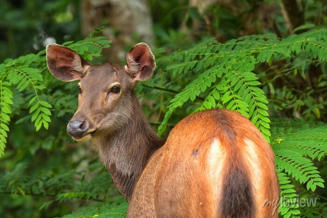 Photo Credit – From Google