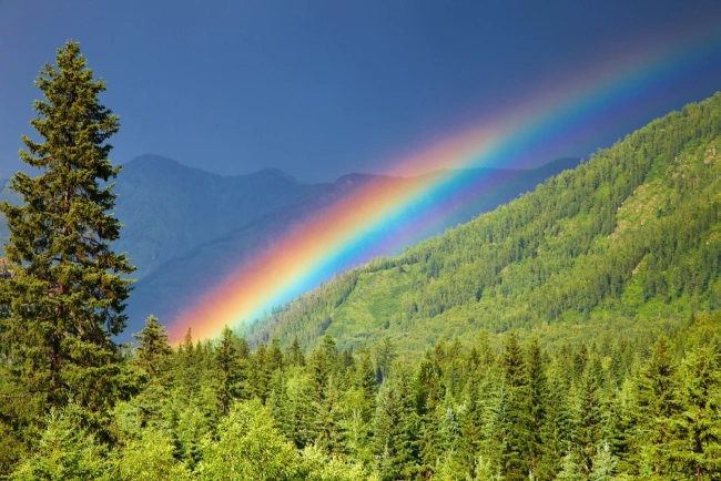Photo Credit – From Google