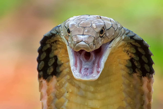 Photo Credit - From Google&nbsp;