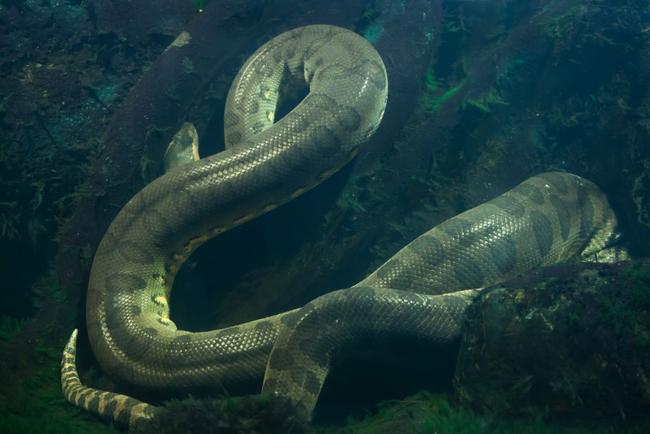 Photo Credit - From Google&nbsp;