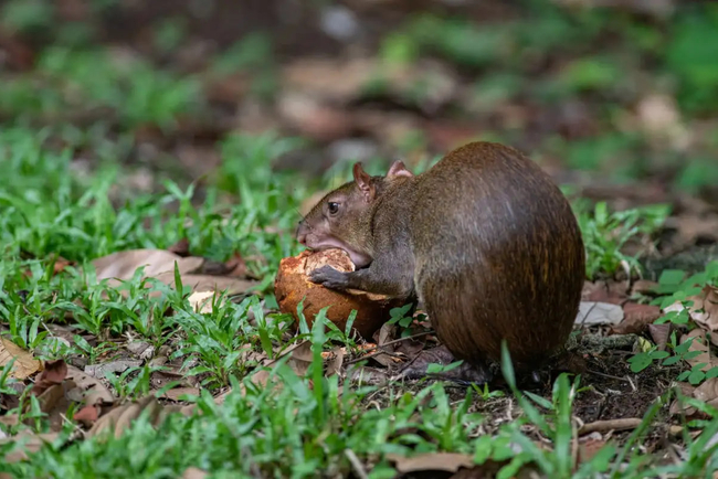 Photo Credit – From Google