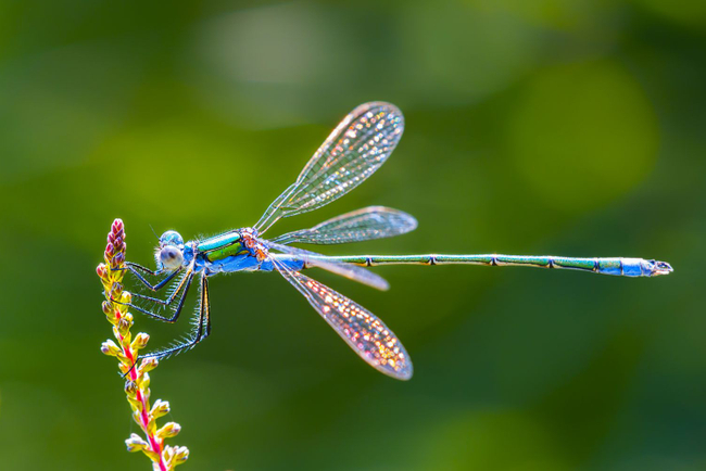 Photo Credit – From Google