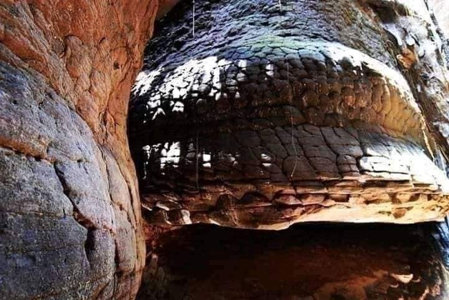 Photo Credit – From Google