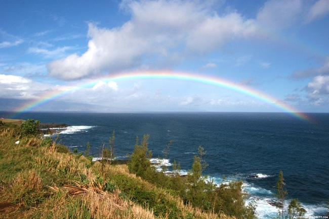Photo Credit – From Google
