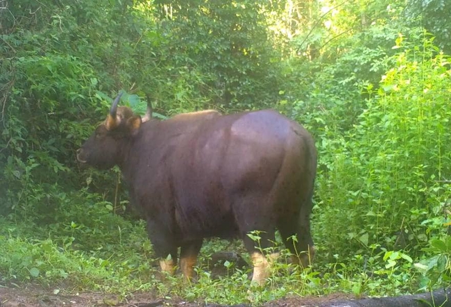 រូបភាព៖ ក្រសួងបរិស្ថាន