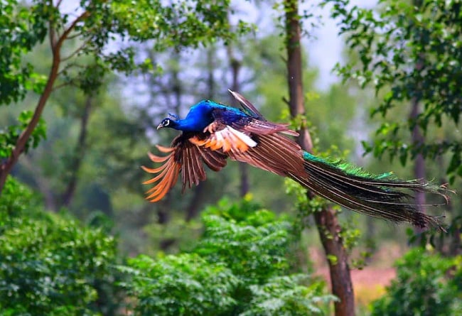Photo Credit – From Google