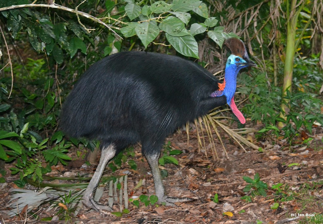 Photo Credit – Form Google