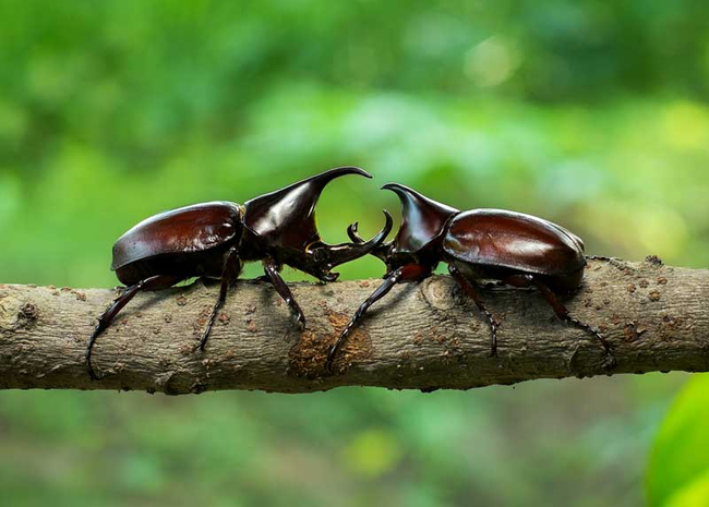 Photo Credit – From Google