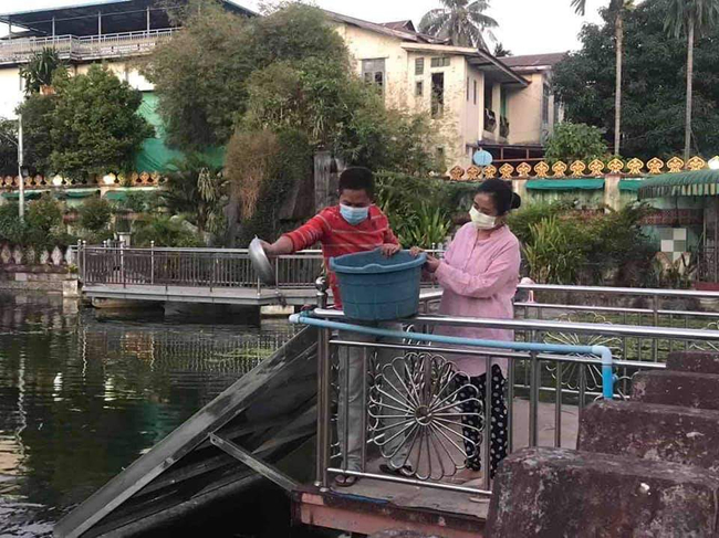 Photo credit-သန်းထွန်း ဇော်'s Facebook acc