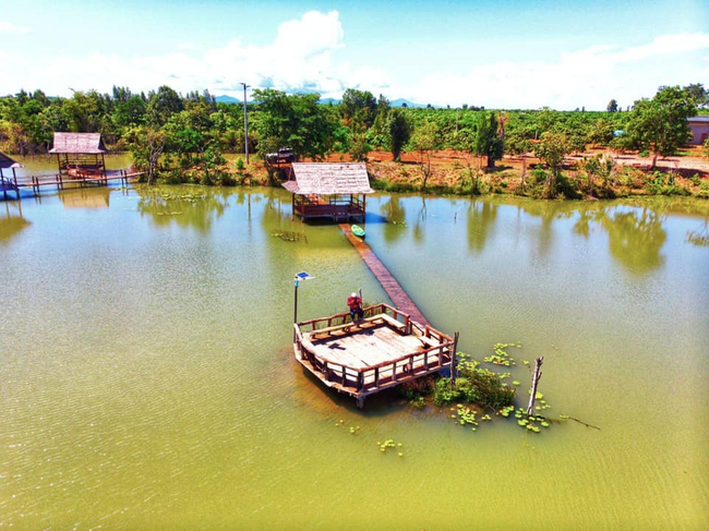 ភូមិដំណាក់ដំរី