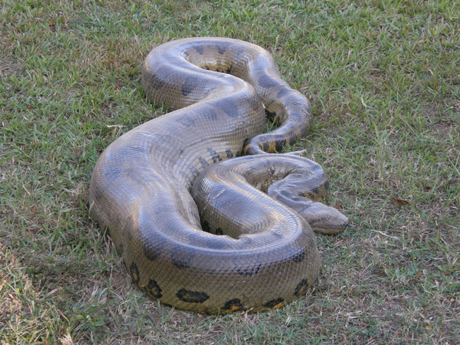 Photo Credit - From Google&nbsp;
