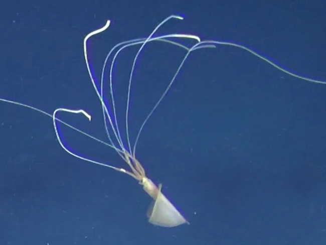 Photo Credit – From Google