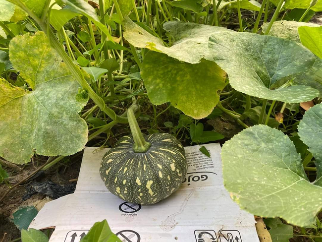 Photo Credit:Melody Myo's Facebook Account