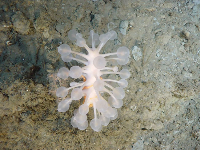 Photo Credit – From Google