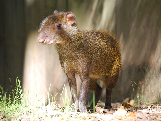 Photo Credit – From Google