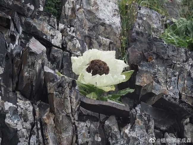 Photo Credit – From Google