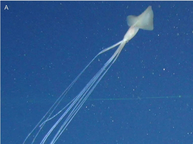 Photo Credit – From Google