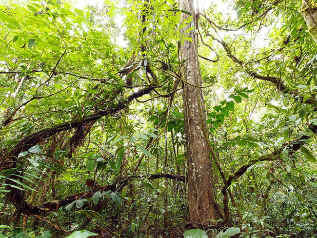 Photo Credit – From Google