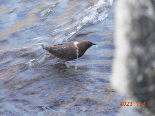 Photo Credit - From Google&nbsp;