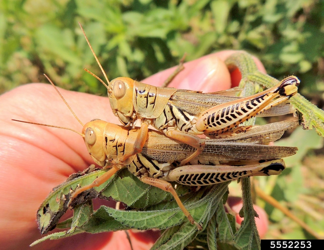 Photo Credit - From Google