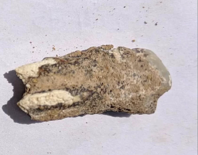 Photo Credit – From Google