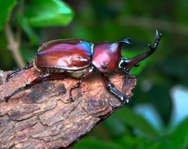 Photo Credit – From Google
