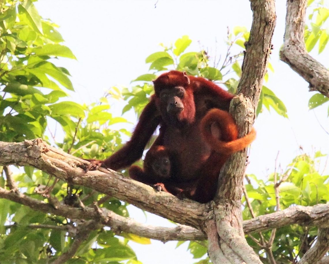 Photo Credit – From Google