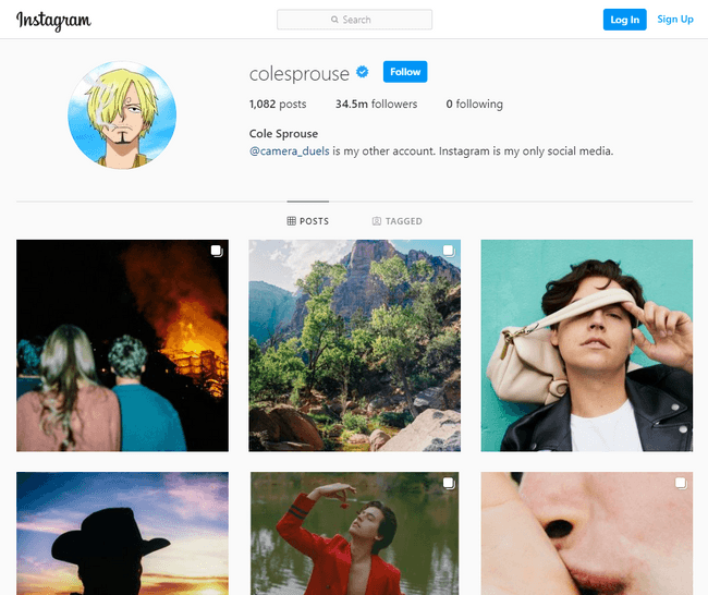 Instagram របស់លោក Cole Sprouse ប្ដូរ Profile ដាក់រូប Sanji ជាច្រើនដង នឹង មានរូបភាពមួយចំនួននិយាយពី Sanji ផងដែរ 