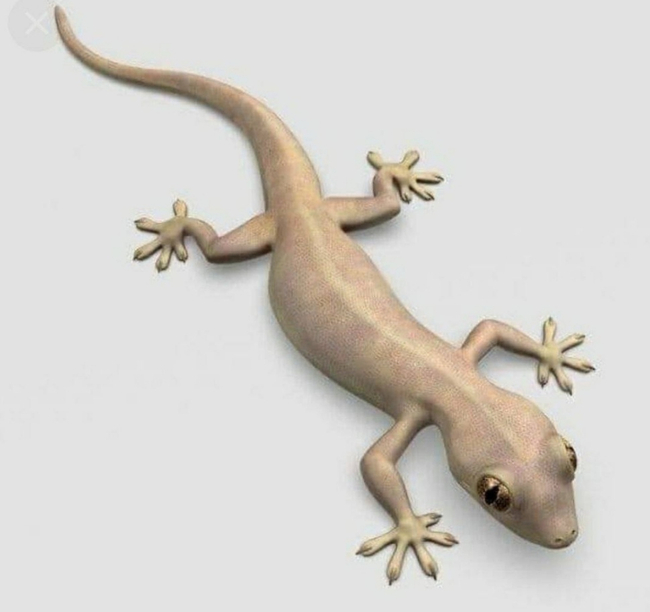Photo Credit - From Google