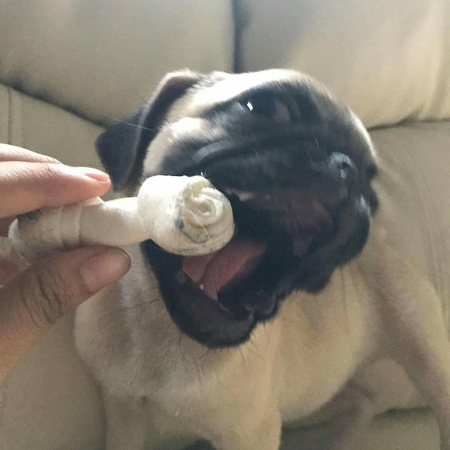  Photo Crd-Kyaw Kyaw Htay Lwin’s Facebook Account