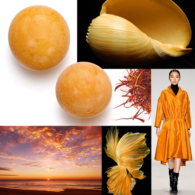 គុជខ្យង Melo ពណ៌ទឹកក្រូច