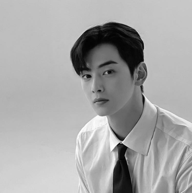 Photo Credit: Cha Eun Woo Fans