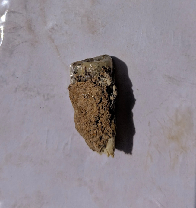 Photo Credit – From Google