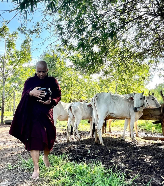 Photo Credit From Original Uploader