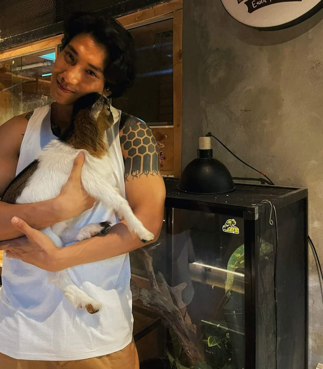 Photo Credit From Original Uploader