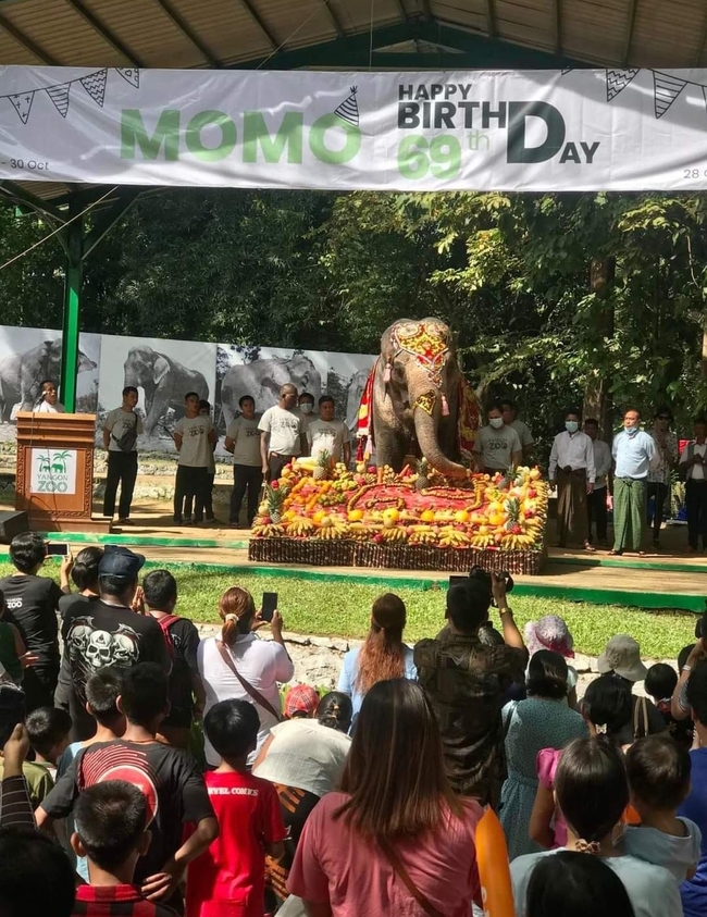 Photo Credit From Original Uploader